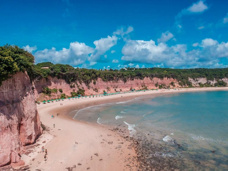 Leia mais sobre o artigo Baía dos Golfinhos é considerada uma das 10 melhores praias da América do Sul